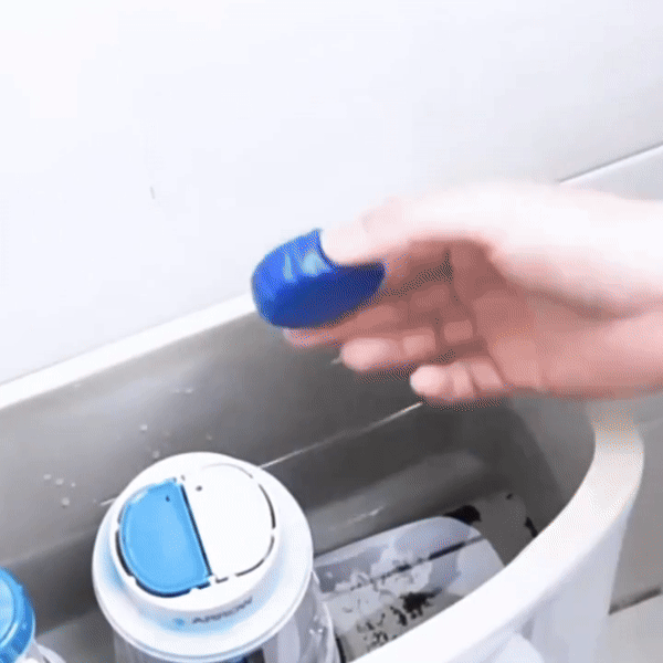 Toilet Bowl Cleaner Tablet pack of 10