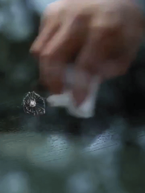 Car Glass Repair Windshild kit