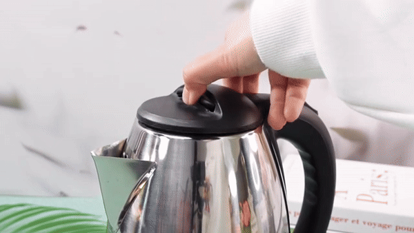 2 Liter Electric Kettle with Stainless Steel
