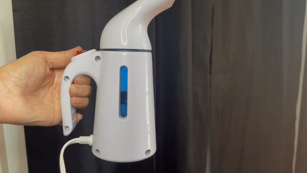 RZ Facial Steamer and Garment Steam Iron