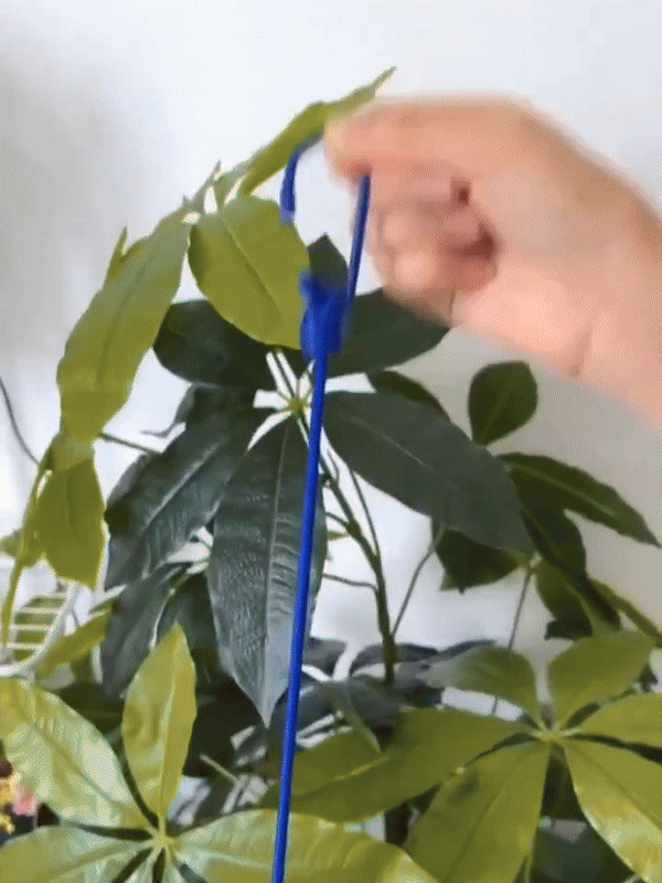 Cloth Line With Clip