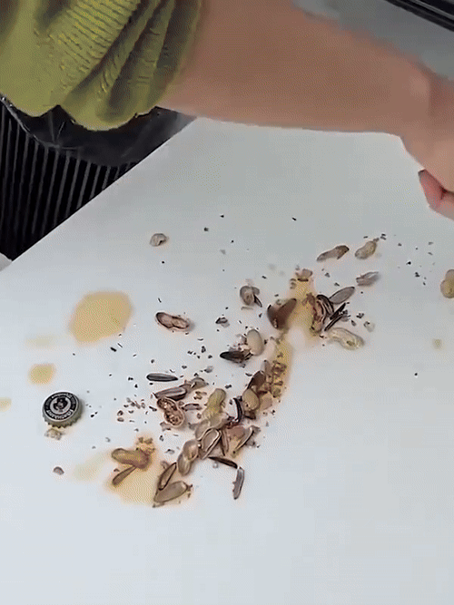 Portable Mini Mop Self Squeeze