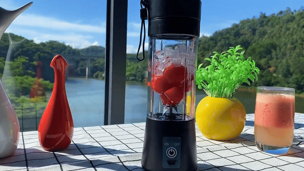 Portable 6 Blade Juicer - 2 USB