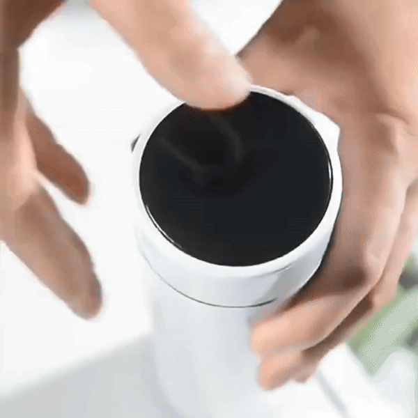 LED Temperature Display Water Bottle