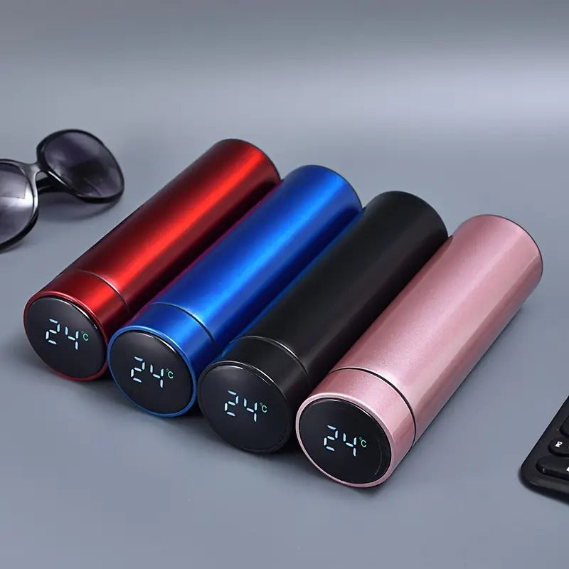 LED Temperature Display Water Bottle