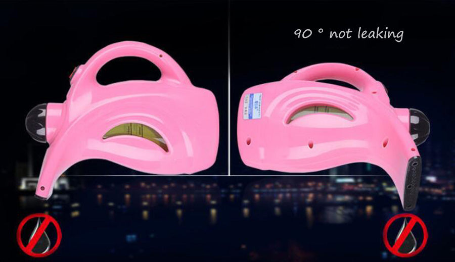 RZ Facial Steamer and Garment Steam Iron